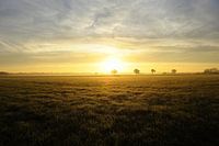 Zonsopkomst Brabants landschap