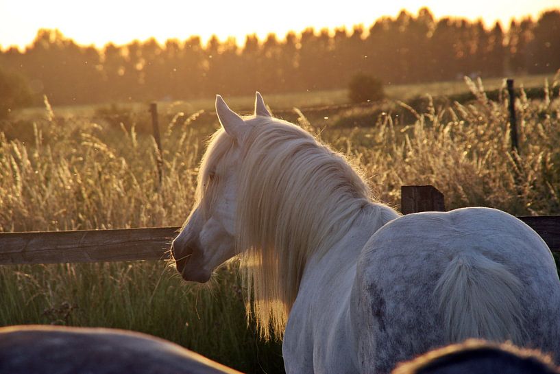 In der goldenen Stunde von Kirsten L.