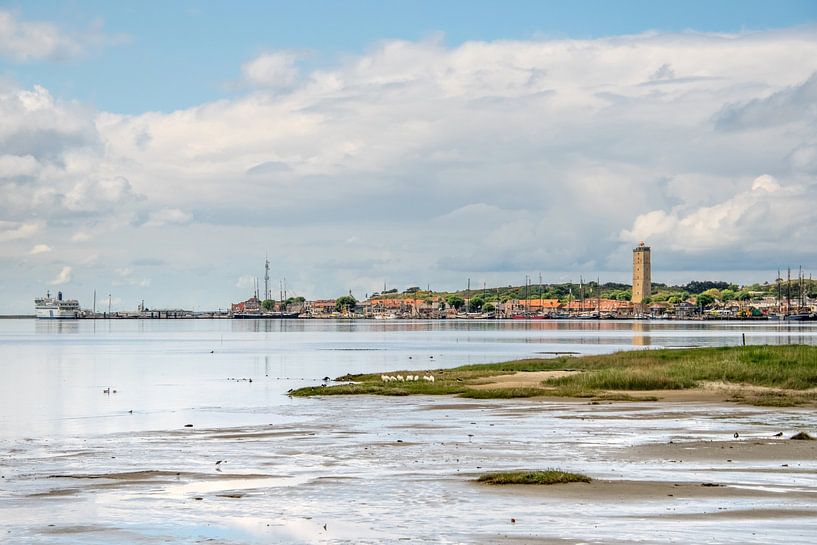 Dellewal von Jacoba de Graaf