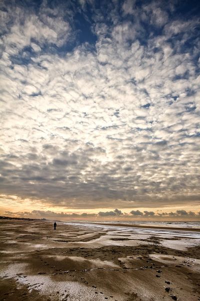 Seul Dieu peut me juger par Cho Tang