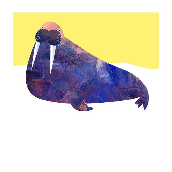 Walrus by Studio Mattie