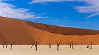 Death Valley en Namibie