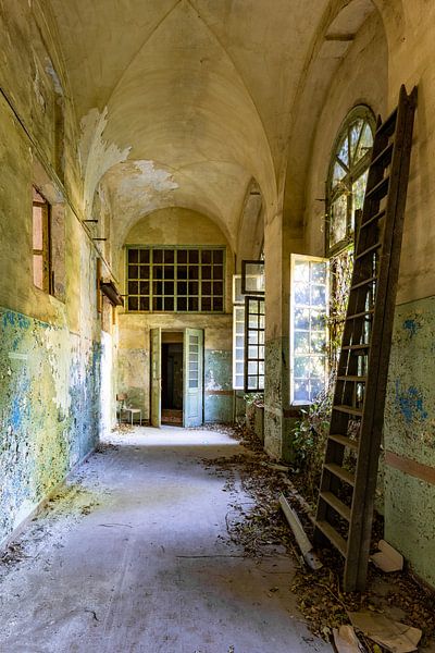 Climb up the ladder by William Linders