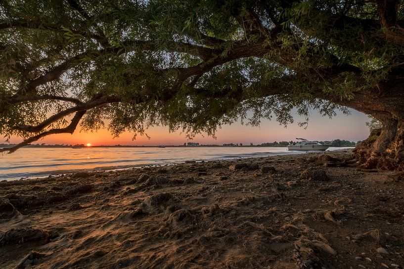 Coucher de soleil sur la rivière Nederrijn par Moetwil en van Dijk - Fotografie