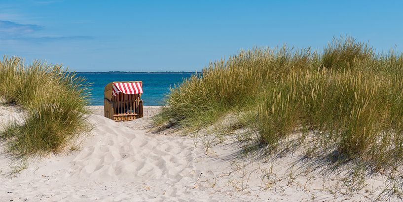 In den Dünen von Denis Feiner