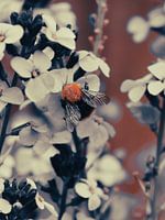 Strenght - Bumblebee