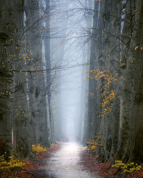 Scène d'hiver par Thomas Jansen