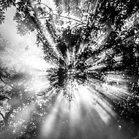 Himmlisch! schwarz-weiß 2