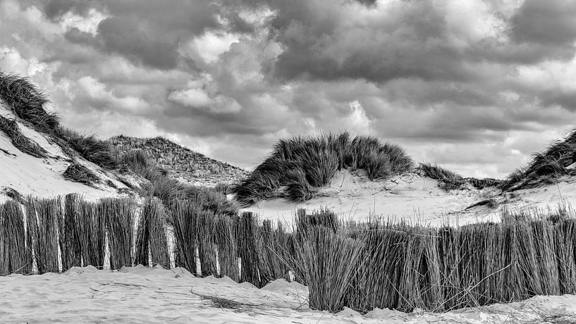 Dunes  par Maarten Leeuwis