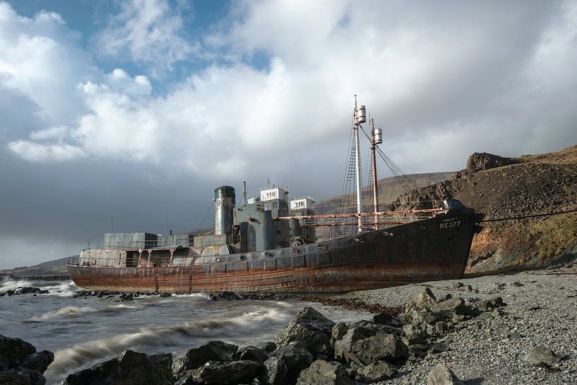 The downfall of Icelandic whaling by Gerry van Roosmalen