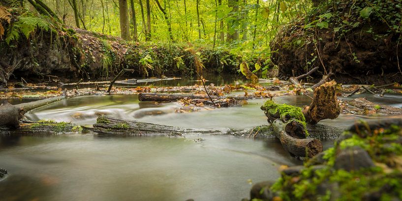 I follow river by Geert-Jan Timmermans