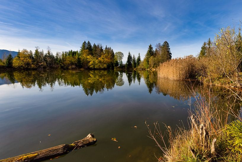 Le marais de Murnau par Christina Bauer Photos