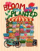 Bloom Where You Are Planted