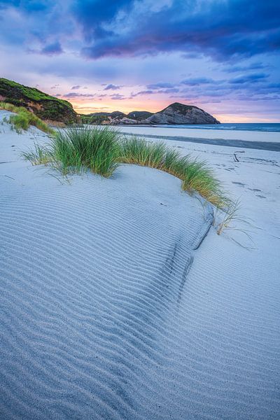 New Zealand Wharariki Beach by Jean Claude Castor