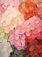 Hydrangea colourful