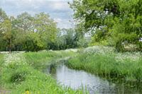 Une scène pittoresque au printemps