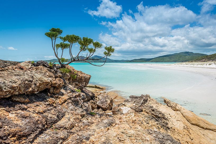 Plage de Whitehaven dans les Whitsundays en Australie par Troy Wegman