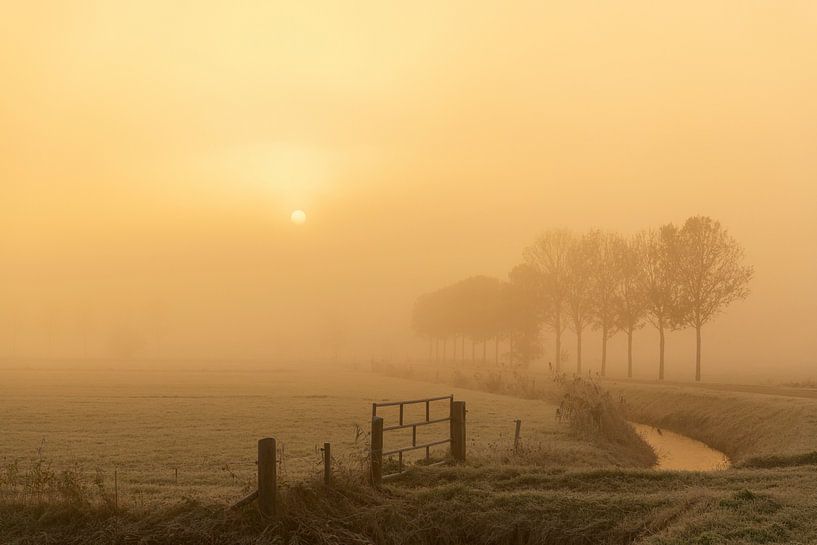 Foggy morning landscape in the IJsseldelta during sunrise by Sjoerd van der Wal Photography