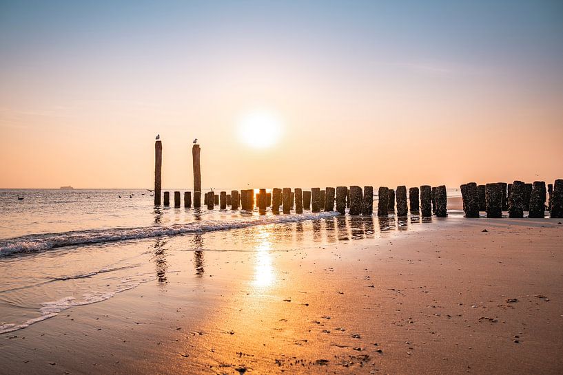Poteaux de la plage de Flessingue dans un reflet doré au coucher du soleil par Femke Ketelaar