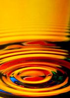 La sensation de l'été