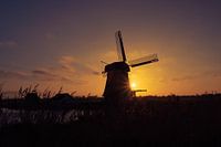 Windmill De Woudaap