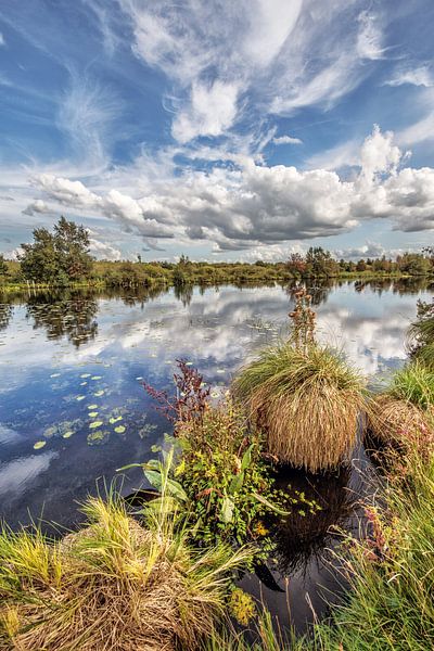 Landschap in De Deelen par Harrie Muis