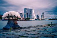 View of the Kop van Zuid