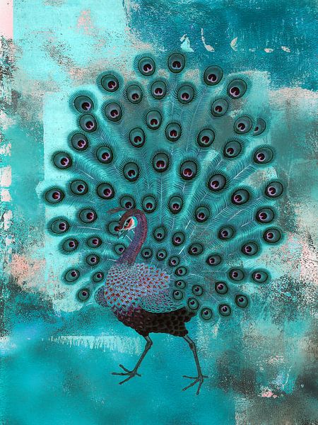 Le paon par Gabi Hampe