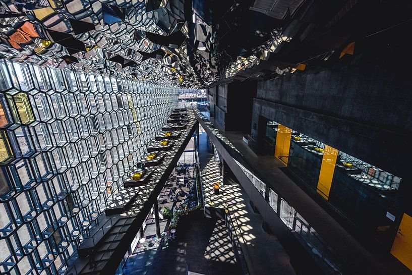 Harpa von Ronne Vinkx