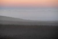 Brume du soir sur le Hoge Veluwe