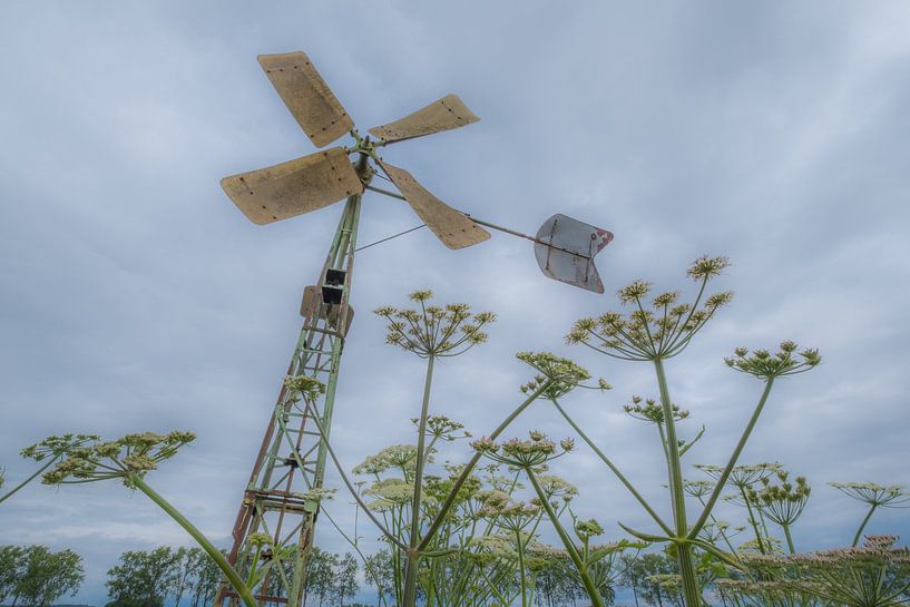 Moulin à vent par Moetwil en van Dijk - Fotografie