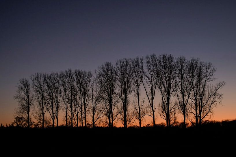 zonsondergang achter populieren von jan van de ven