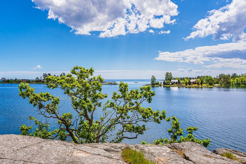 Côte de la mer Baltique avec rochers et arbres sur l'île d'Uvö en Suède par Rico Ködder
