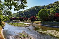 aan de oevers van de rivier