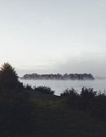 Foggy morning