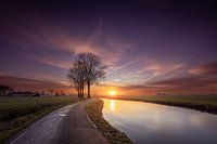 Sonnenaufgang Bienen