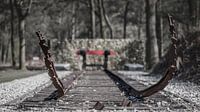 Railroad tracks Westerbork