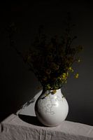 Still life of turnip seed in shade of spring light