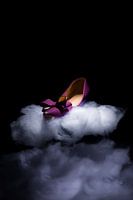 Women's shoe - in the clouds