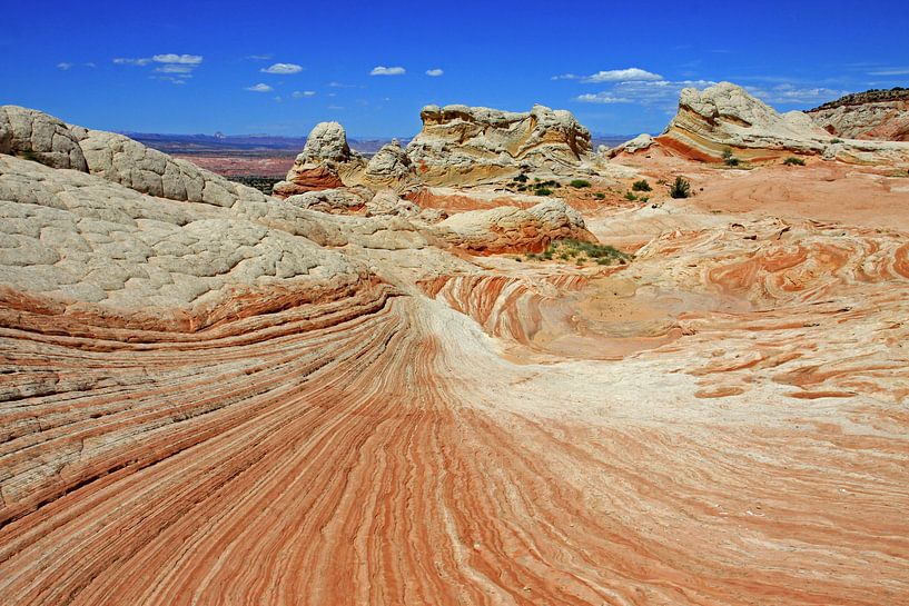 Weiße Tasche von Antwan Janssen
