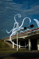 Meerestiere (Oktopus) im Himmel - Kombination eines Fotos mit weißer Kreide-Illustration