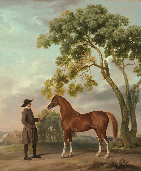 Lord Grosvenors Araberhengst mit Stallbursche, George Stubbs von Meisterhafte Meister