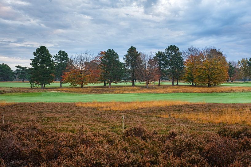 Baumreihe von Johan Vanbockryck