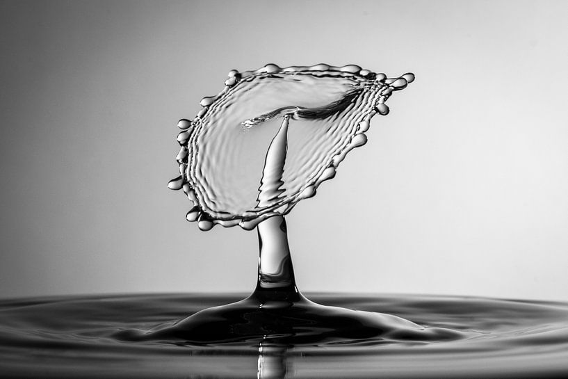 Goutte d'eau Photographie par Marc Piersma