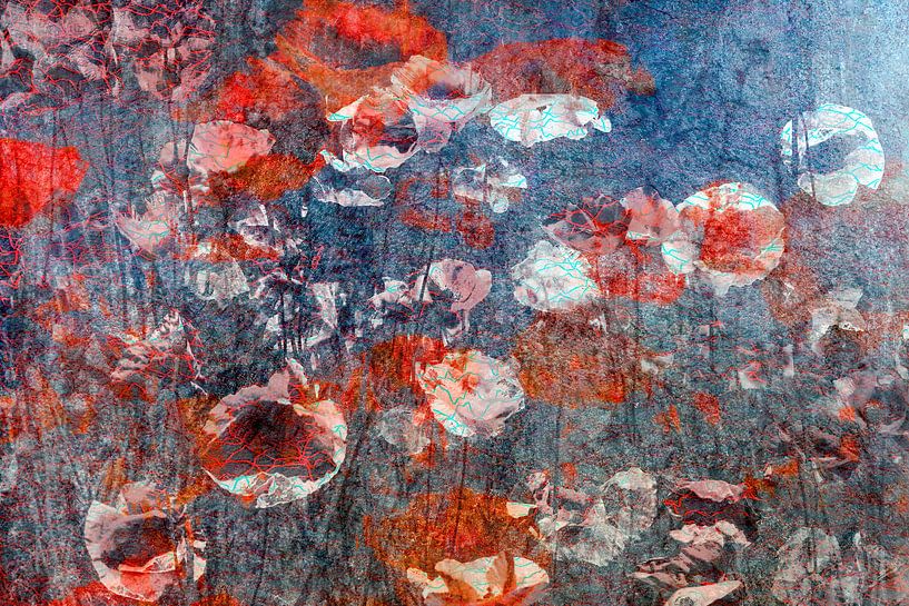 Champ de coquelicots 01 par Marijke de Leeuw - Gabriëlse