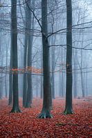 the last bit of autumn