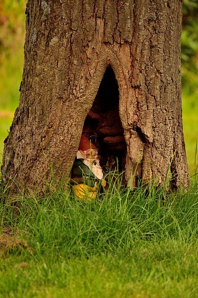 Gnome gibt es wirklich von Rosenthal fotografie