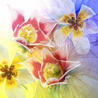 Le printemps se réveille