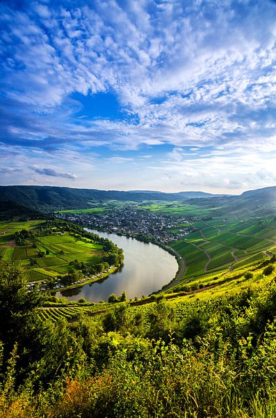 Kröv an der Mosel vom Mont Royal in Deutschland aus von RB-Photography