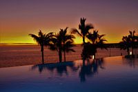 Sonnenuntergang mit Palmen